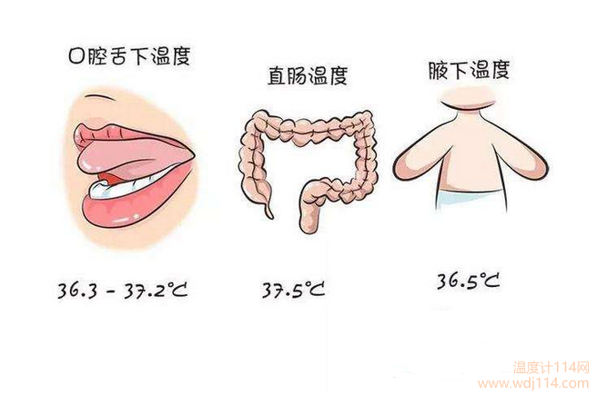 紅外線溫度計測哪較準？